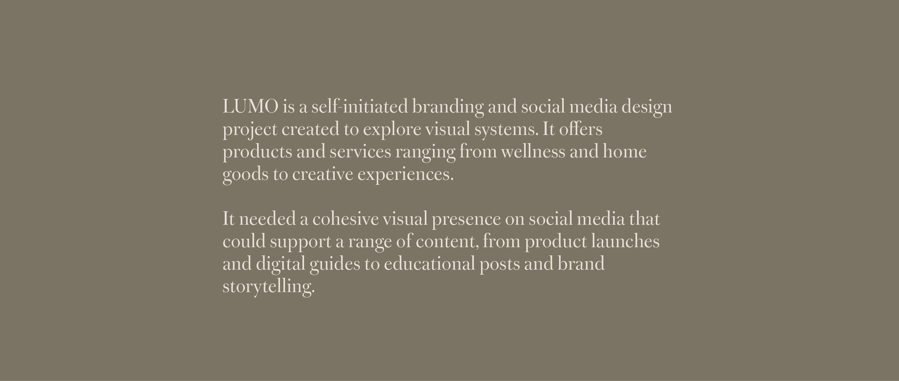 Lumo Social Media System project image 2